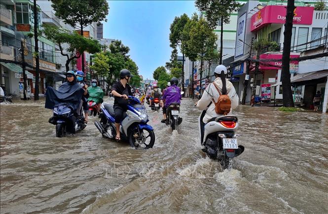 Triều cường dâng cao làm ngập nhiều tuyến đường ở quận Ninh Kiều sáng 9/10. Ảnh: TTXVN phát