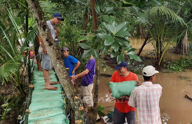 Người dân gia cố đoạn đê bao bị vỡ do triều cường dâng cao ở cồn Khương, quận Ninh Kiều. Ảnh: TTXVN phát