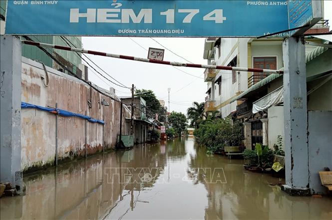 Một con hẻm trên đường Trần Quang Diệu, quận Bình Thủy ngập sâu do triều cường. Ảnh: TTXVN phát
