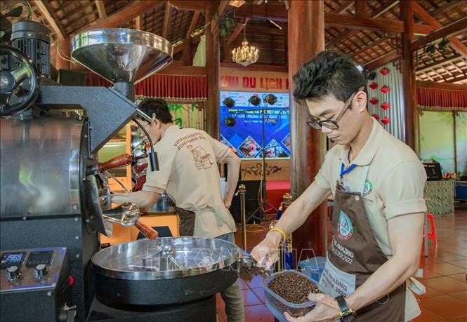 Thí sinh tham gia phần thi rang cà phê. Ảnh: TTXVN phát