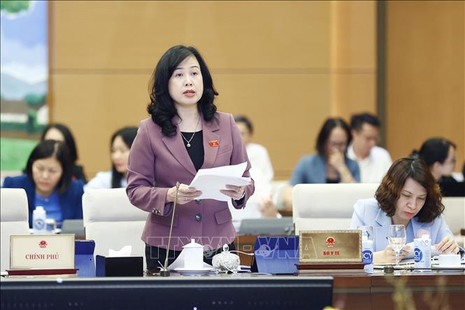 Quyền Bộ trưởng Bộ Y tế Đào Hồng Lan trình bày báo cáo (tóm tắt). Ảnh: Doãn Tấn - TTXVN 