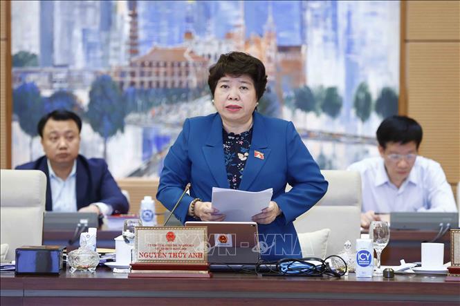 Chủ nhiệm Ủy ban Xã hội của Quốc hội Nguyễn Thúy Anh trình bày báo cáo thẩm tra (tóm tắt). Ảnh: Doãn Tấn - TTXVN