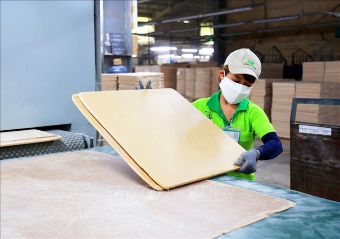 Trong ảnh: Gỗ Đức Thành luôn đảm bảo về máy móc thiết bị, nguyên vật liệu trong sản xuất. Ảnh: Hồng Đạt - TTXVN