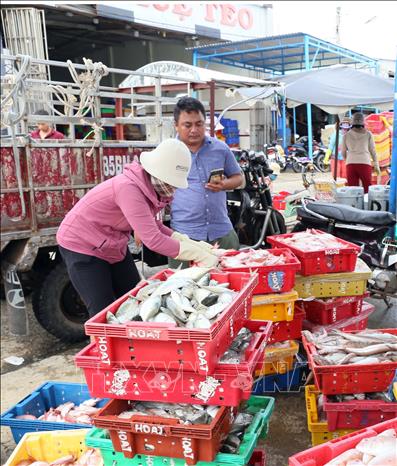 An officer inspects the source of a fish catch at Ca Na fishing port, Thuan Nam district, Ninh Thuan province. VNA Photo: Công Thử