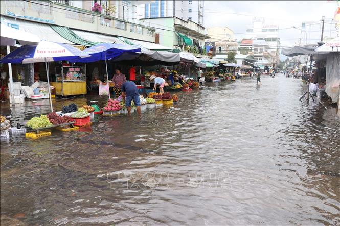 Trong ảnh: Nước ngập sâu tại chợ trái cây thành phố Cao Lãnh nằm trên đường Nguyễn Đình Chiểu, phường 2. Ảnh: Nguyễn Văn Trí - TTTXVN