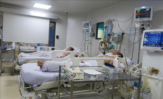 Trong ảnh: Bệnh nhân mắc sốt xuất huyết nặng đang được điều trị tại Khoa Cấp cứu – Hồi sức tích cực – Chống độc người lớn, Bệnh viện Bệnh Nhiệt đới Thành phố Hồ Chí Minh. Ảnh: Đinh Hằng - TTXVN