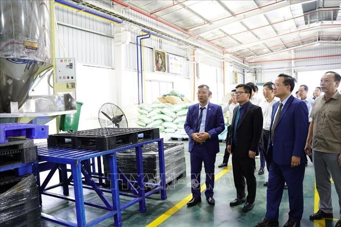 Các đại biểu tham quan nhà máy nhựa Đông Hải tại Hải Dương trong ngày khánh thành. Ảnh: TTXVN phát