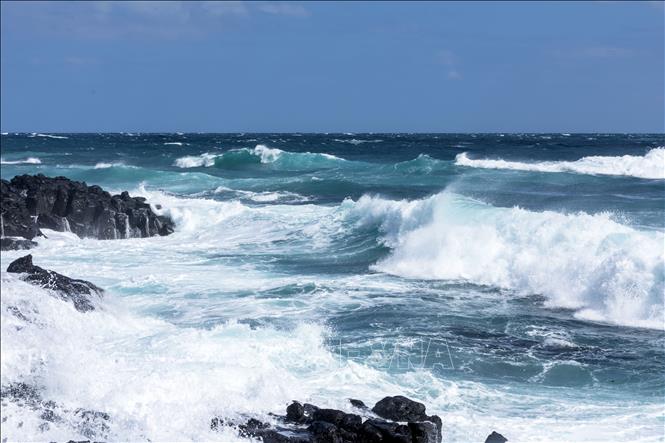 Trong ảnh: Những con sóng biển cuồn cuộn xô bờ đá đen với màu xanh ngọc bích luôn là điểm hấp dẫn du khách khi tới thăm đảo Udo. Ảnh: Anh Nguyên - PV TTXVN tại Hàn Quốc