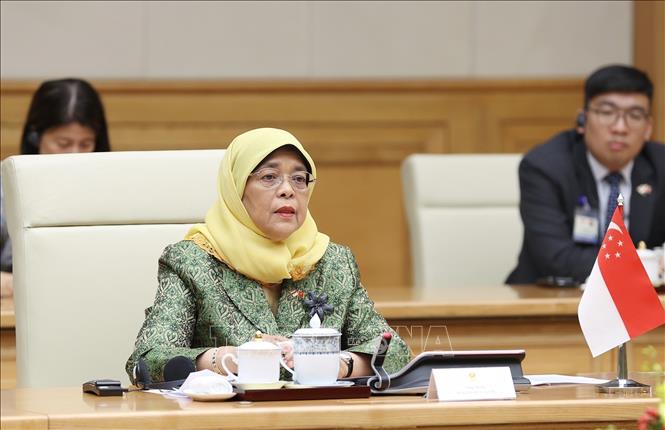 President of Singapore Halimah Yacob speaks at the reception. VNA Photo: Dương Giang