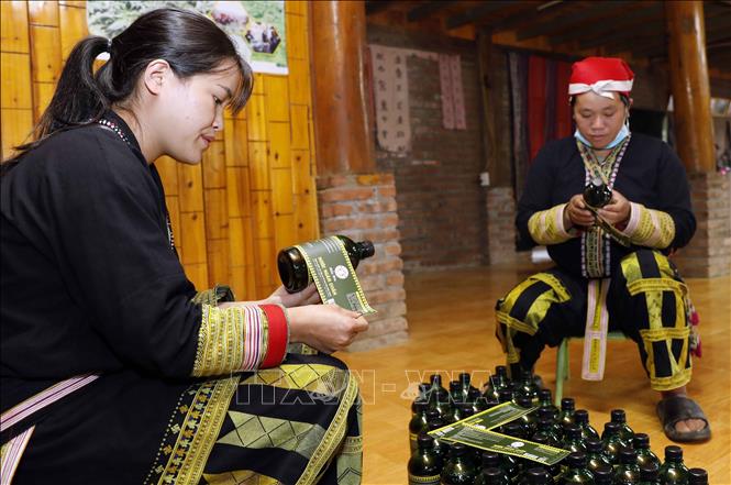 Herbal shower gel products made by Red Dao ethnic women in Ta Phin commune, Sa Pa town. VNA Photo: Trần Việt 