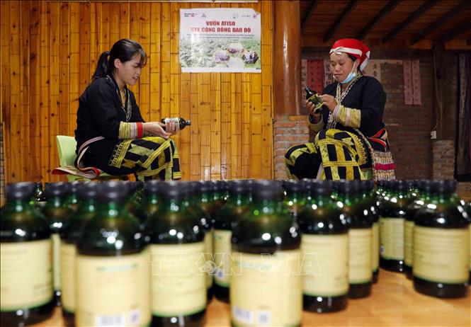 Herbal shower gel products made by Red Dao ethnic women in Ta Phin commune, Sa Pa town. VNA Photo: Trần Việt 