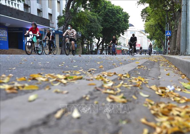 Autumn time brings golden leaves along with cool weather. VNA Photo: Khánh Hòa 