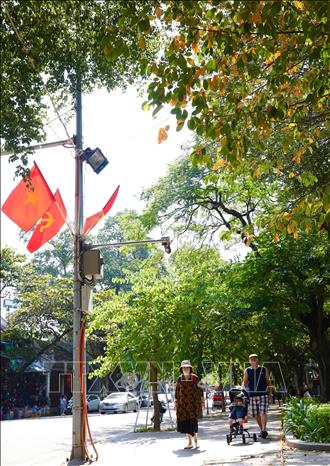 Leaves around Hoan Kiem Lake begin to change colour when autumn comes. VNA Photo: Hoàng Hiếu