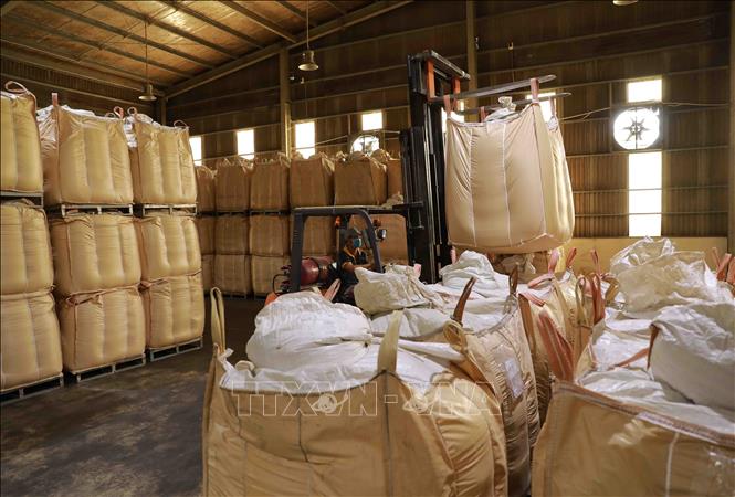 Công ty KOVIENAVINA, 100% vốn Hàn Quốc, ở KCN Bình Long (xã Bình Long, huyện Châu Phú) chuyên chế biến bột cá làm thức ăn chăn nuôi xuất khẩu sang thị trường Trung Quốc và Hàn Quốc. Ảnh: Vũ Sinh - TTXVN