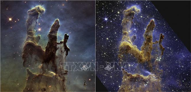 Trong ảnh: Hình ảnh 