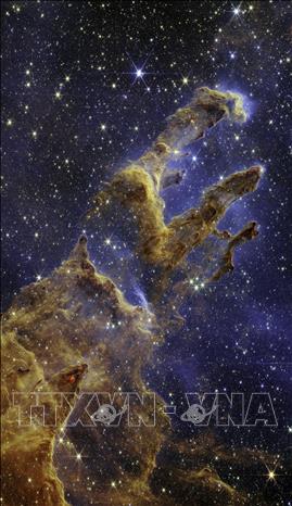 Trong ảnh: Hình ảnh 