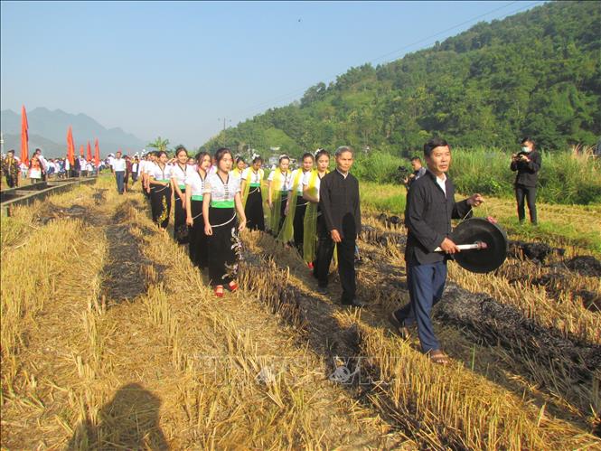 Local people perform a ritual to process the rice’s soul to express respect to God of agriculture. VNA Photo: Đinh Thùy