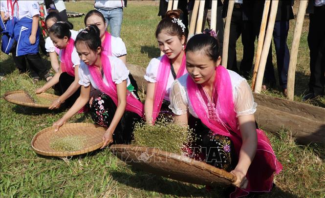 Making green rice is part of the festival. VNA Photo: Đinh Thùy