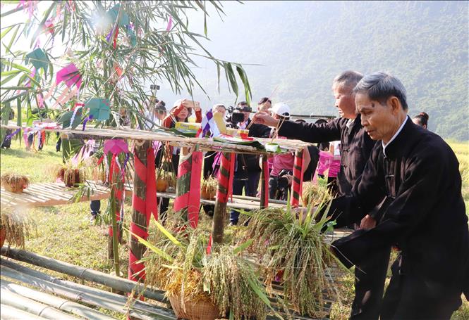 Local people perform a ritual to worship the rice’s soul to express people’s gratitude to God of agriculture. VNA Photo: Đinh Thùy
