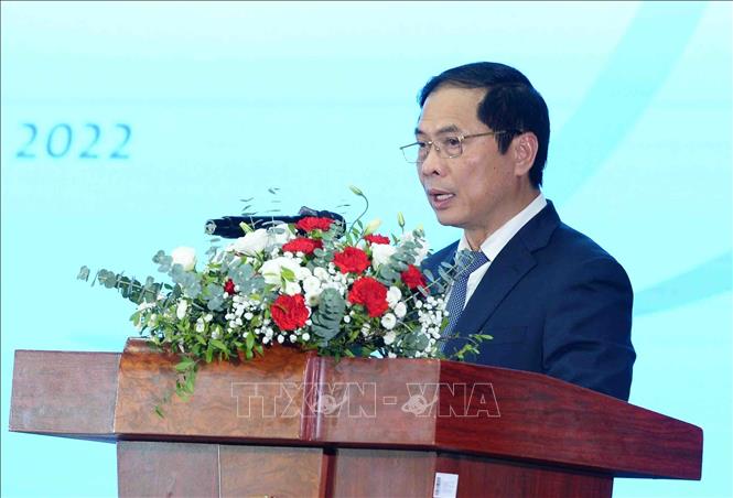 Trong ảnh: Bộ trưởng Bộ Ngoại Giao Bùi Thanh Sơn phát biểu. Ảnh: Minh Đức -TTXVN



