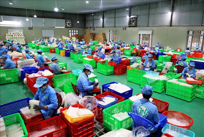 Xưởng sản xuất bánh tráng của Công ty TNHH Tân Nhiên. Ảnh: Hồng Đạt - TTXVN
