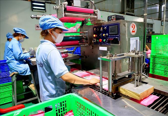 Công đoạn đóng gói sản phẩm bánh tráng Tân Nhiên. Ảnh: Hồng Đạt - TTXVN
