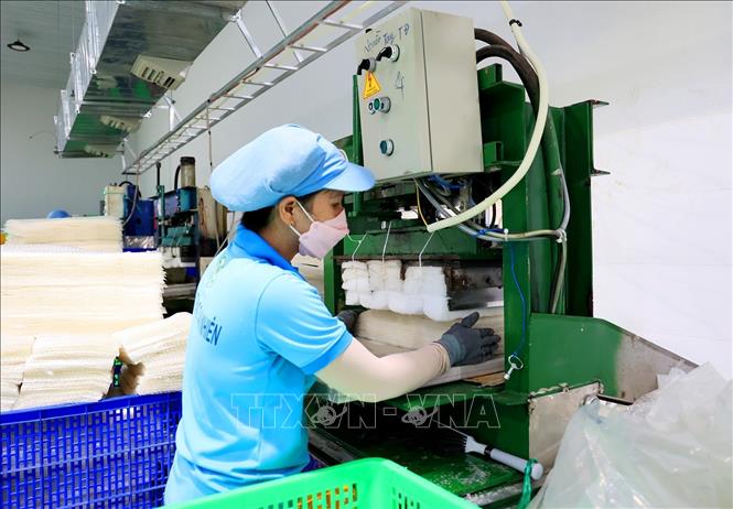 Công nhân làm công đoạn cắt bánh tráng tại xưởng sản xuất của Công ty. Ảnh: Hồng Đạt - TTXVN

