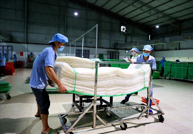 Công nhân làm việc trong xưởng sản xuất bánh tráng của Công ty TNHH Tân Nhiên. Ảnh: Hồng Đạt - TTXVN
