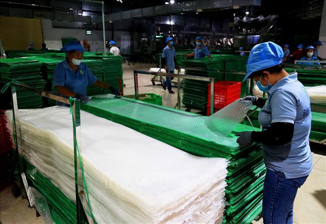 Sản xuất bánh tráng tại Công ty TNHH Tân Nhiên. Ảnh: Hồng Đạt - TTXVN
