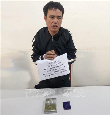 Trong ảnh: Đối tượng Lò Văn Lý cùng tang vật. Ảnh: TTXVN phát.