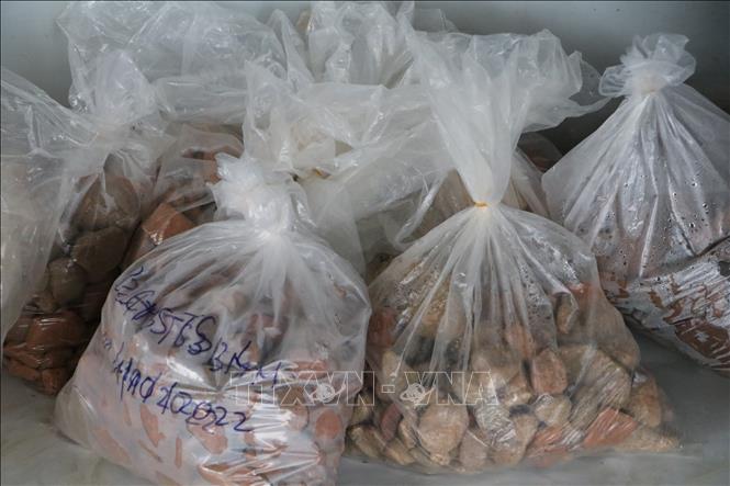 Trong ảnh: Một số hiện vật thăm dò khảo cổ thu được. Ảnh: Đinh Hương - TTXVN