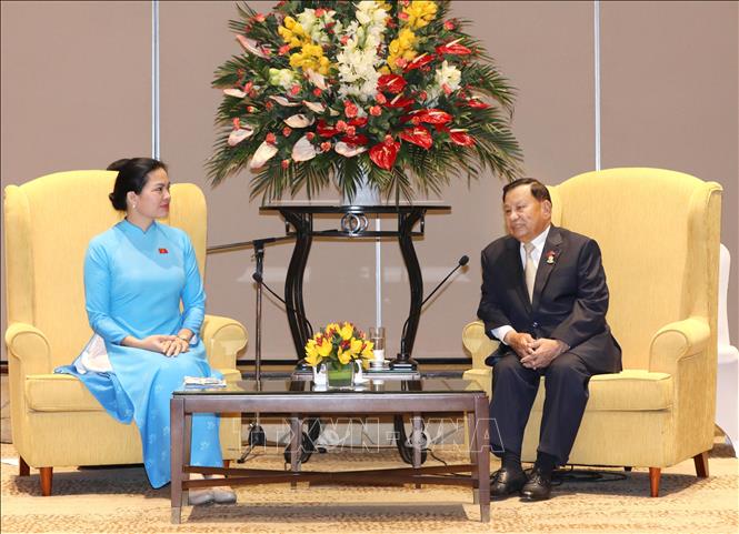 President of the Cambodian Senate Samdech Say Chhum meets with President of the Vietnam Women’s Union (VWU) Ha Thi Nga. VNA Photo: Phương Hoa 