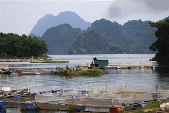 Trong ảnh: Cảnh sông nước bình yên của xóm Đá Bia trên hồ Hòa Bình. Ảnh: Trọng Đạt - TTXVN 