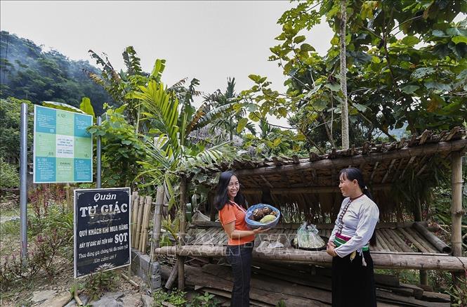 Trong ảnh: Du khác đến từ hà Nội thích thú với mô hình Quán tự giác. Ảnh: Trọng Đạt - TTXVN