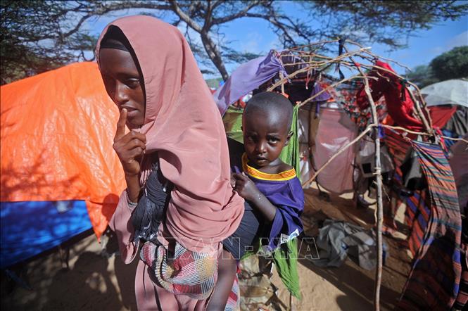 Trong ảnh: Người dân bị ảnh hưởng bởi hạn hán sơ tán tới nơi ở tạm tại ngoại ô Mogadishu, Somalia. Ảnh: AFP/TTXVN