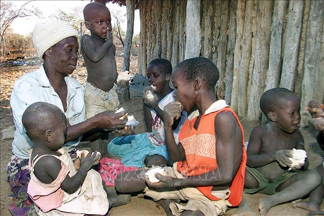 Trong ảnh: Trẻ em nhận khẩu phần ăn tại một gia đình ở Harare, Zimbabwe. Ảnh: AFP/TTXVN