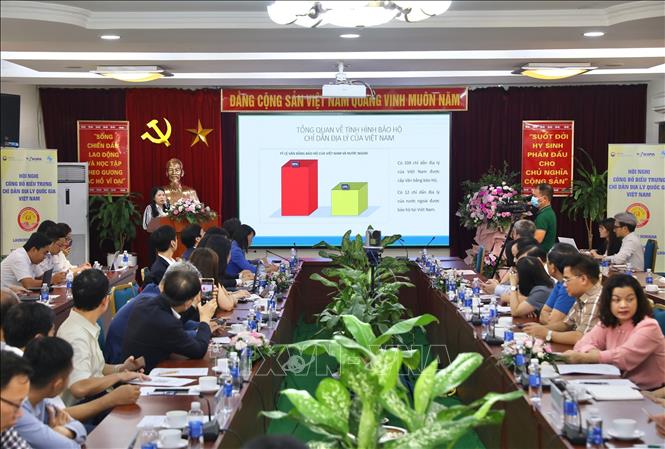  A view of the conference. VNA Photo: Hoàng Hiếu 