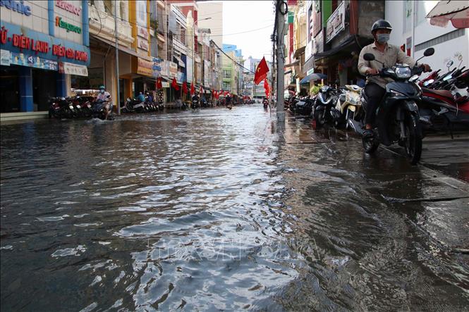 Trong ảnh: Đường Đề Thám (phường 2, thành phố Cà Mau) bị ngập sâu do ảnh hưởng của đợt thuỷ triều dâng cao. Ảnh: Kim Há-TTXVN