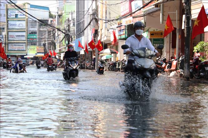 Trong ảnh: Đường Đề Thám (phường 2, thành phố Cà Mau) bị ngập sâu do ảnh hưởng của triều cường. Ảnh: Kim Há-TTXVN