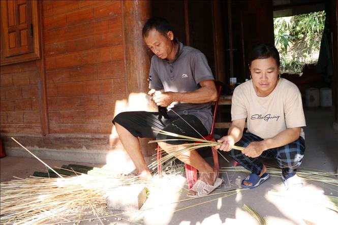 Sau khi tự nguyện ra khỏi tà đạo bà Cô Dợ, gia đình anh Và Nhè Chứ, ở bản Pà Khà, xã Tà Tổng, huyện Mường Tè yên tâm lao động sản xuất, phát triển kinh tế gia đình. Ảnh: Hoàng Thùy Oanh/TTXVN