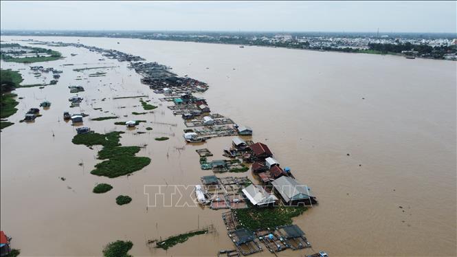 Trong ảnh: Lồng, bè nuôi cá trên sông Tiền, đoạn thuộc xã Bình Thạnh, huyện Cao Lãnh. Ảnh: Nhựt An - TTXVN