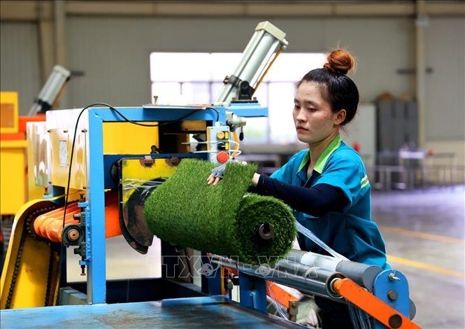 Trong ảnh: Công ty TNHH CCGrass Việt Nam phấn đấu sản lượng năm 2022 đạt 32 triệu m2 thảm cỏ nhân tạo. Ảnh: Hồng Đạt - TTXVN

