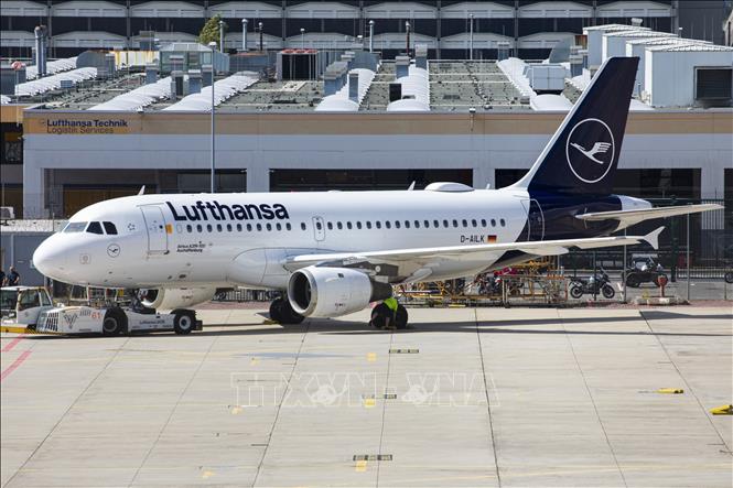 Trong ảnh: Máy bay của hãng hàng không Lufthansa tại sân bay Frankfurt, Đức. Ảnh: AFP/TTXVN