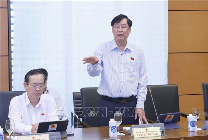 Đại biểu Quốc hội tỉnh Bình Dương Trần Công Phàn phát biểu ý kiến. Ảnh: Doãn Tấn - TTXVN