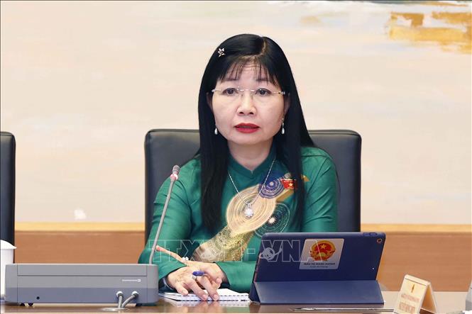 Đại biểu Quốc hội tỉnh An Giang Trần Thị Thanh Hương phát biểu ý kiến. Ảnh: Doãn Tấn - TTXVN