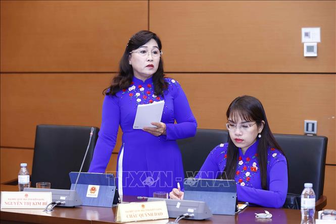 Đại biểu Quốc hội tỉnh Kiên Giang Nguyễn Thị Kim Bé phát biểu ý kiến. Ảnh: Doãn Tấn - TTXVN