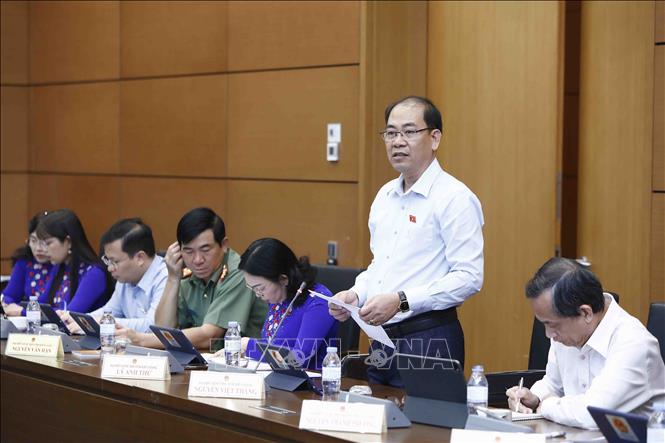 Trong ảnh: Đại biểu Quốc hội tỉnh Kiên Giang Nguyễn Việt Thắng phát biểu tại tổ. Ảnh: An Đăng - TTXVN