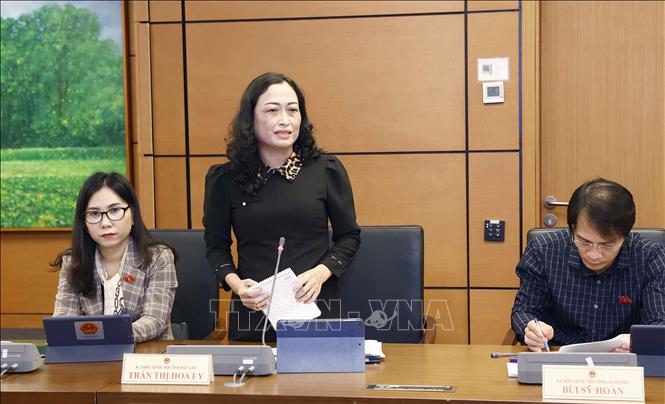 Đại biểu Quốc hội tỉnh Bạc Liêu Trần Thị Hoa Ry phát biểu ý kiến. Ảnh: Doãn Tấn - TTXVN