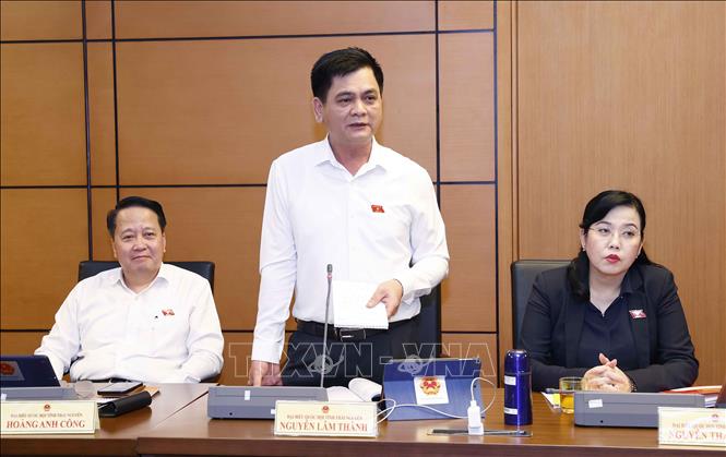 Đại biểu Quốc hội tỉnh Thái Nguyên Nguyễn Lâm Thành phát biểu ý kiến. Ảnh: Doãn Tấn - TTXVN