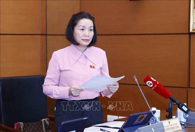 Đại biểu Quốc hội tỉnh Quảng Bình Nguyễn Minh Tâm phát biểu ý kiến. Ảnh: Doãn Tấn - TTXVN
